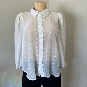 Alice Blue Sheer White Polka Dot Blouse